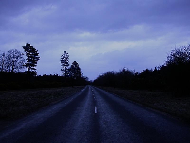 Rendlesham Forest - DSCN3593.JPG